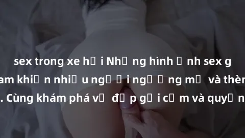 sex trong xe hơi Những hình ảnh sex gái sinh viên Việt Nam khiến nhiều người ngưỡng mộ và thèm khát. Cùng khám phá vẻ đẹp gợi cảm và quyến rũ của những cô gái trẻ này.